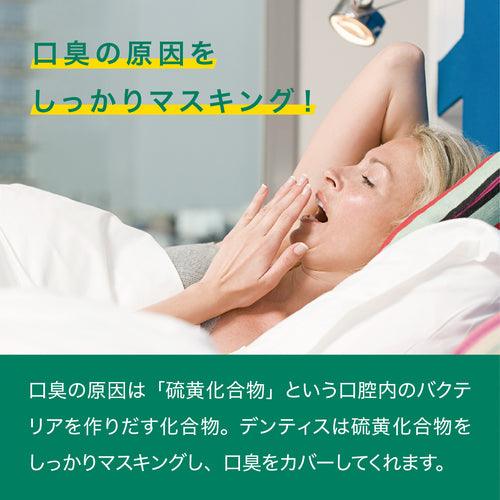 KU×DENTISTE】デンティスチューブタイプ＆トラベルセット KUオリジナル